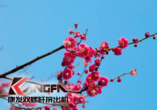 春光明媚,春意盎然！康發(fā)JSH系列雙螺桿造粒機組集中發(fā)貨 