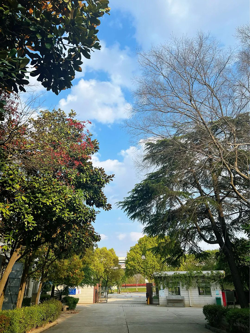極致的康發(fā)雙螺桿造粒機(jī)工匠精神，支撐著在追逐夢(mèng)想的旅程中穩(wěn)步邁進(jìn)。