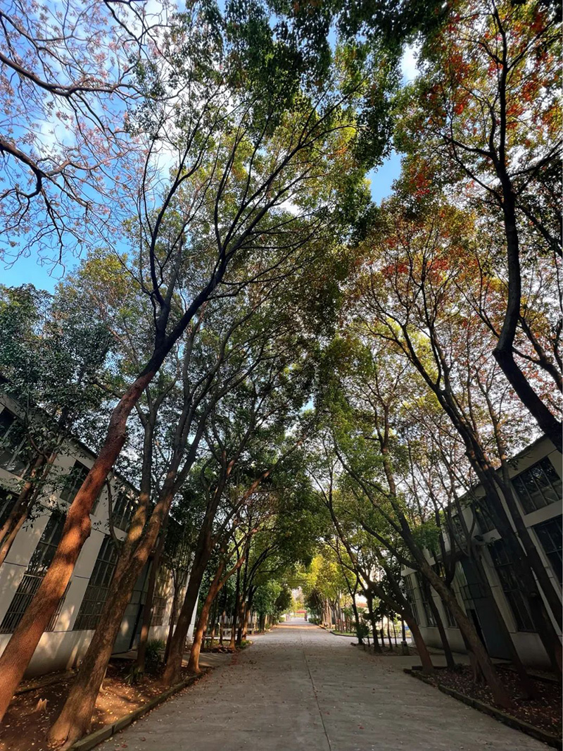 極致的康發(fā)雙螺桿造粒機(jī)工匠精神，支撐著在追逐夢(mèng)想的旅程中穩(wěn)步邁進(jìn)。